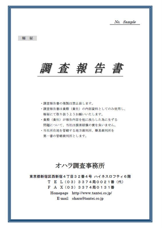 報告書サンプル